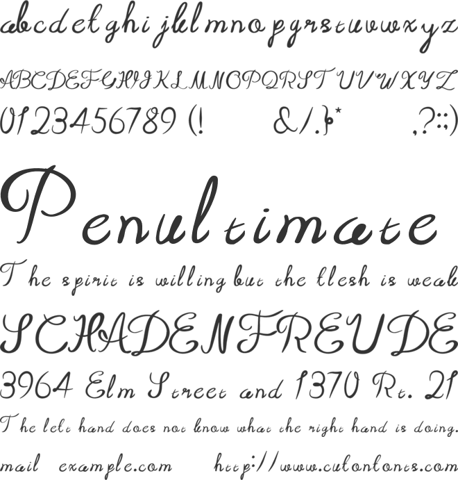 Notebook Abstract Script font preview