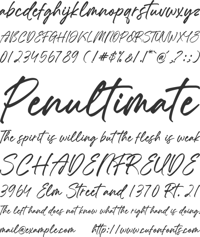 Chastel Reid font preview