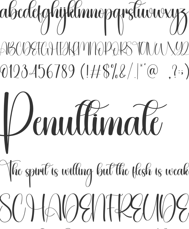 Weight font preview