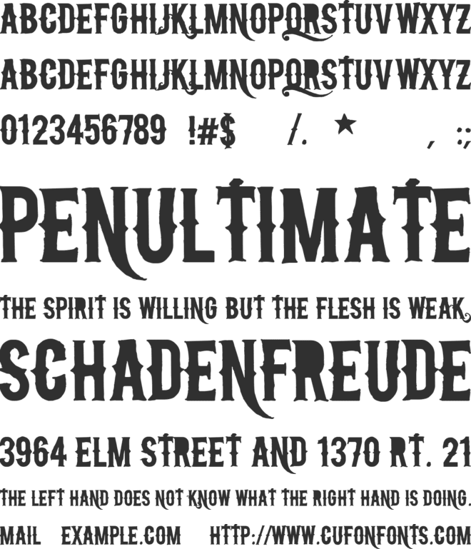 N font preview