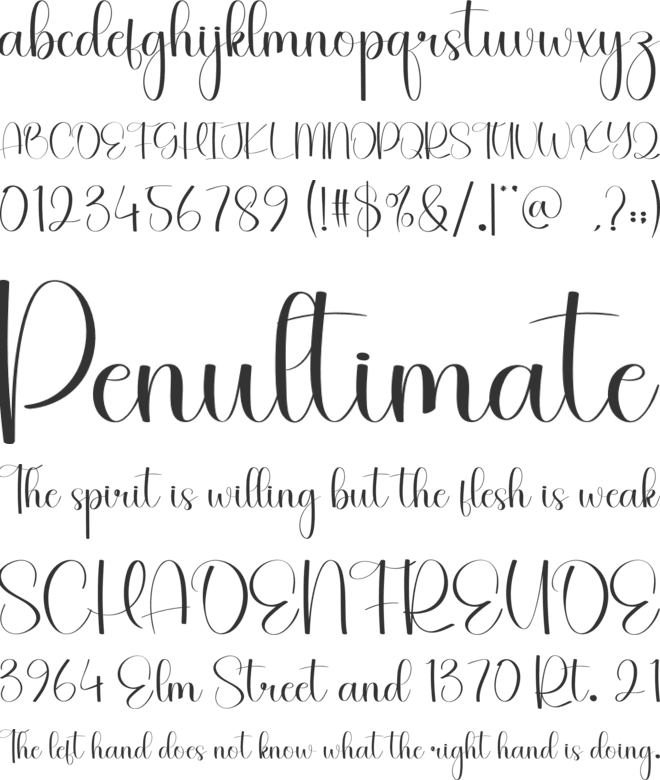 Welcome Summer font preview