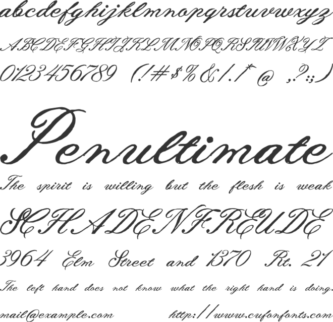 Seratone Vintage Script font preview