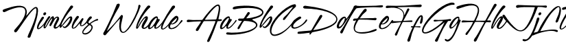 Nimbus Whale font