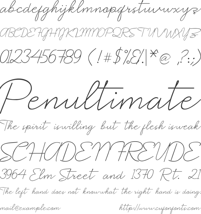 Prochok font preview