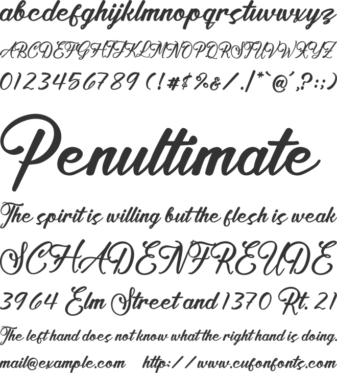 Satin Willots font preview