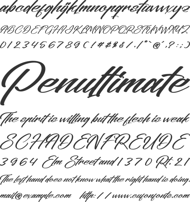 Actualized font preview