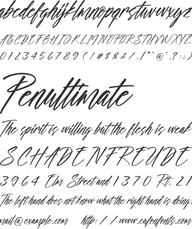 Chronograph font preview
