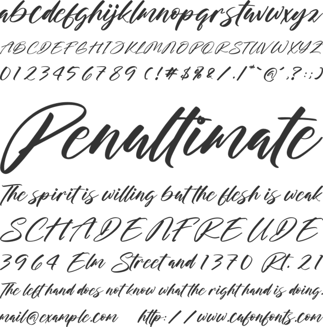 Stamlosee font preview