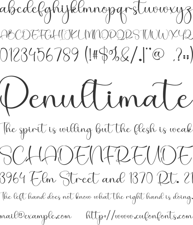 Angle font preview