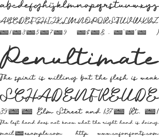 Palmera Dirham AT font preview
