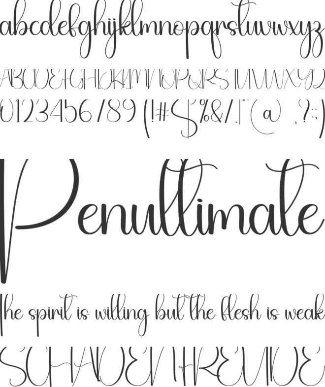 Stylis font preview