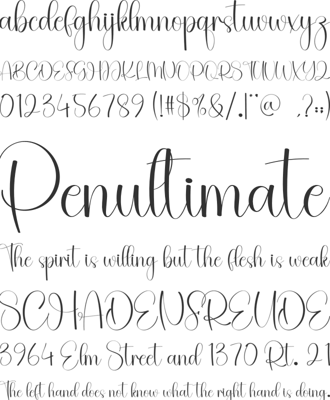 Montage font preview