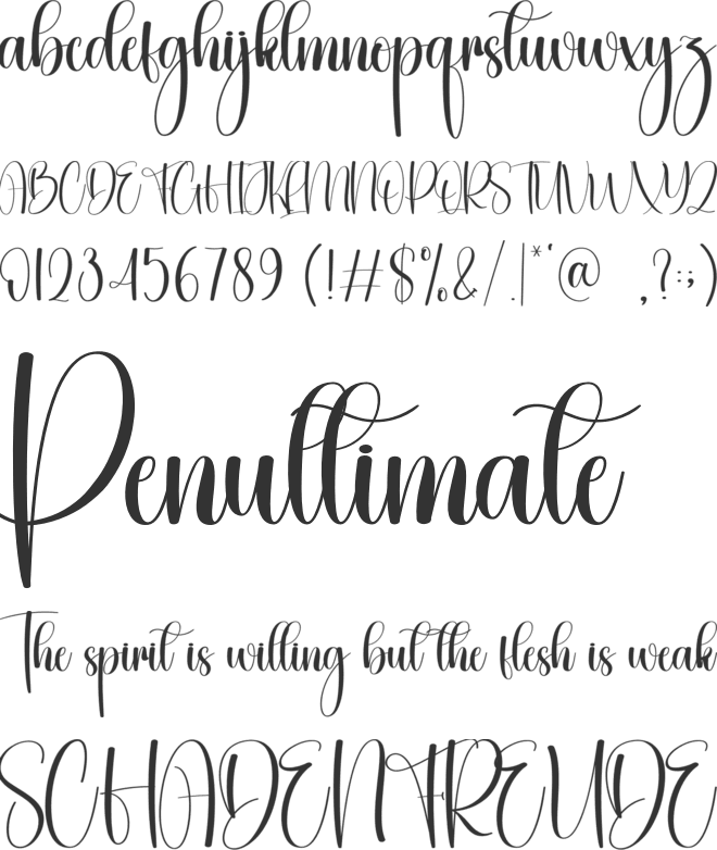 Butterly font preview
