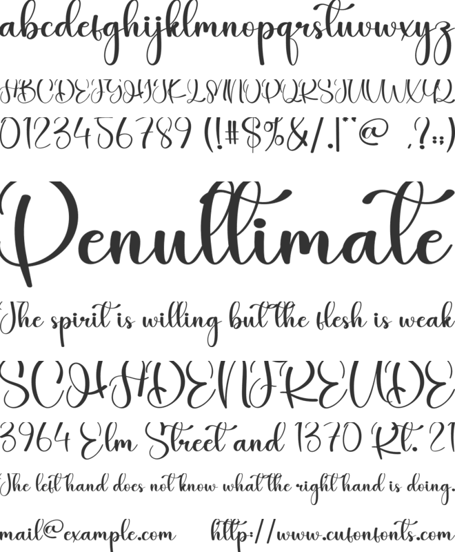 Angela Signature font preview
