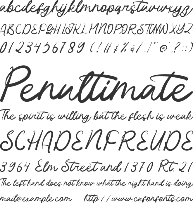 Boprura Script font preview