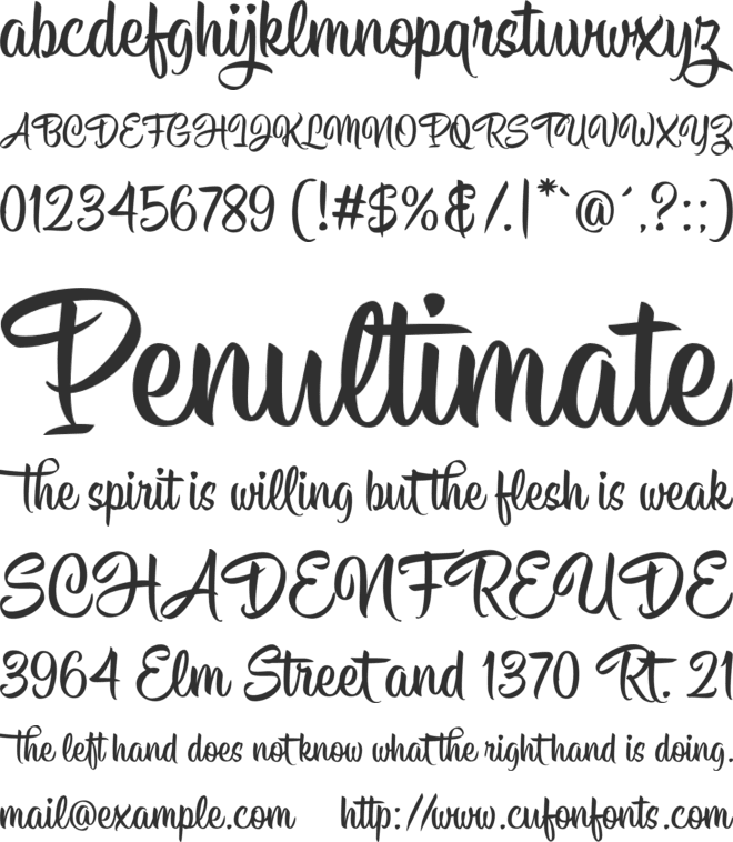 Hisyam Script Personal Use font preview
