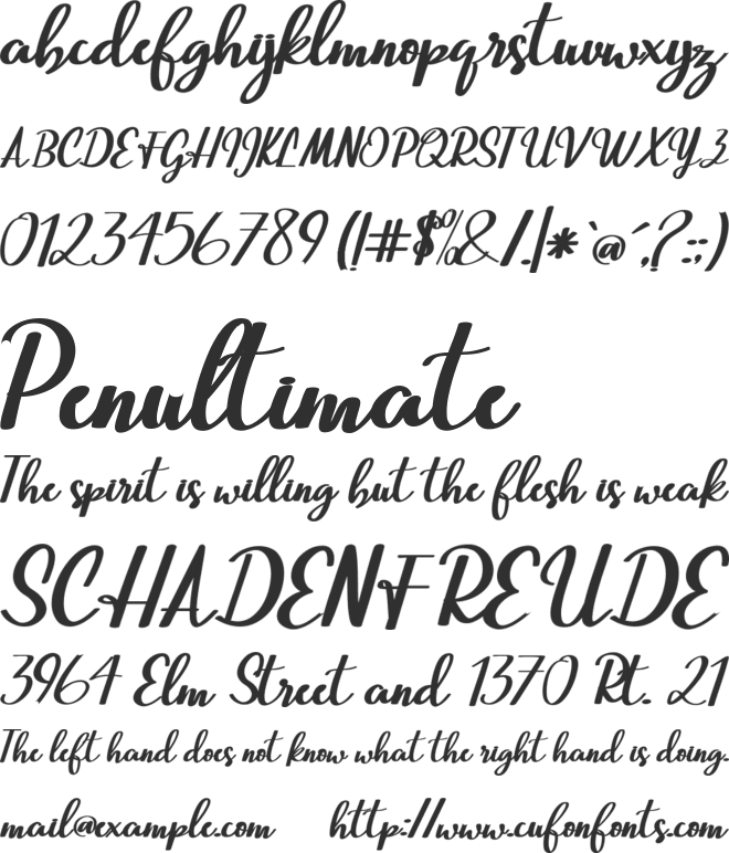 Beautiful Script font preview
