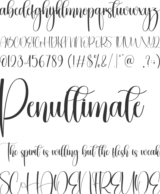 Boldy font preview