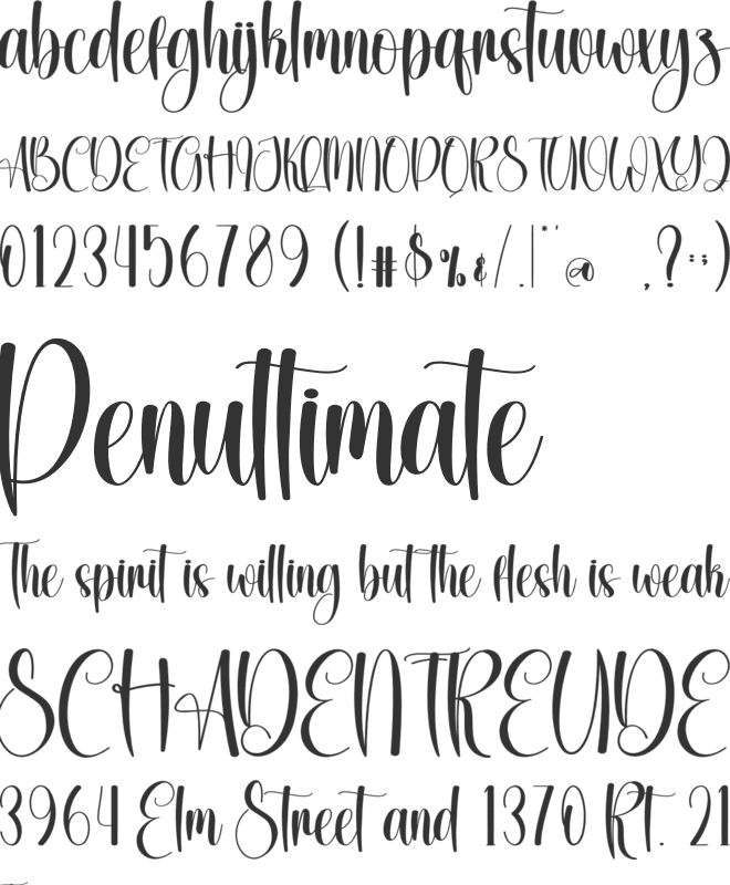 Daymaker font preview