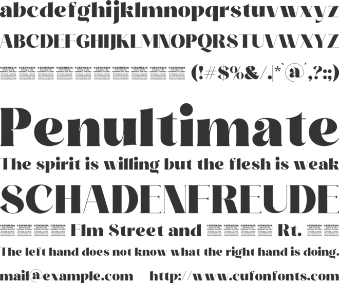 Storila Personal Use Only font preview