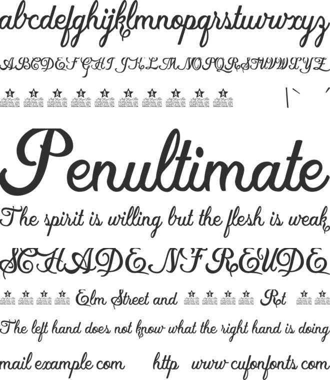 Local Motion Personal Use font preview