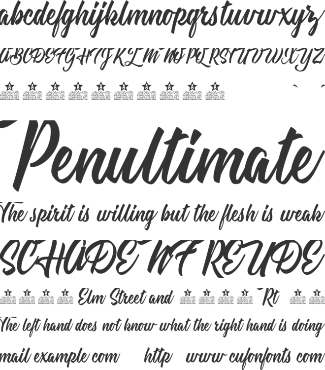 Summer Daisy Personal Use font preview