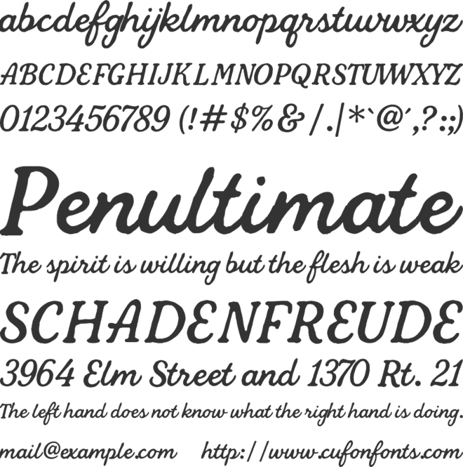 Mapleford Script font preview
