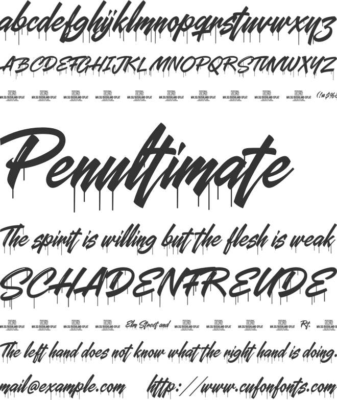 Bushland Splat PERSONAL USE font preview