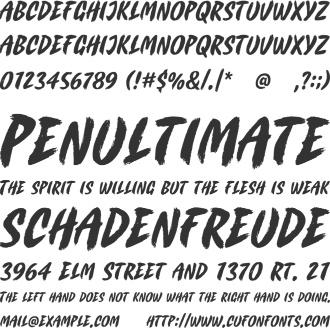Wild Rush font preview