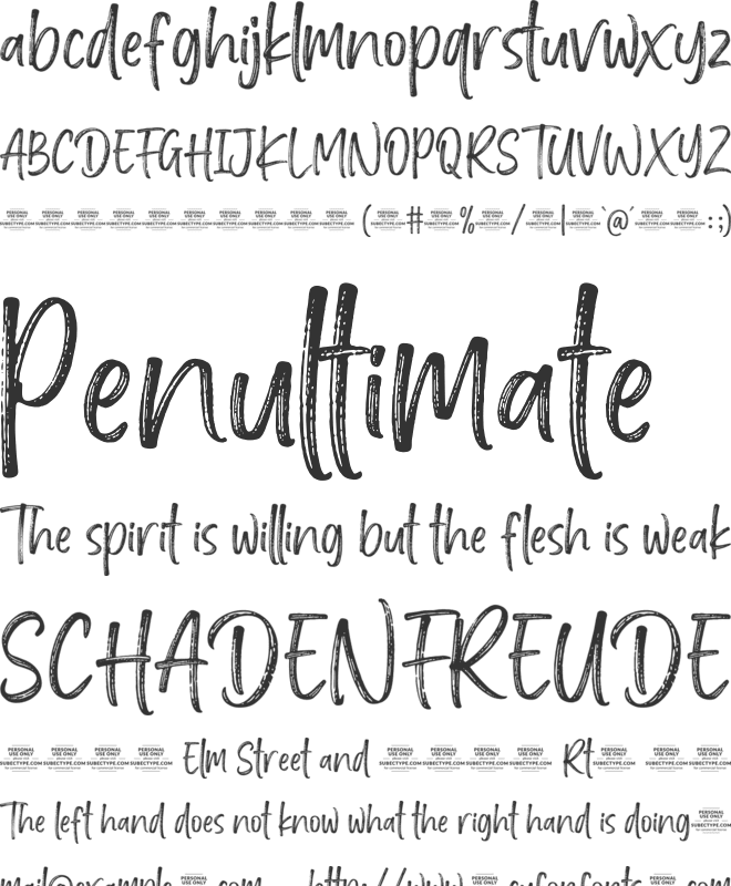 Handicate Brush font preview