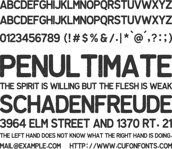 Palm Bay Social Sans Serif font preview