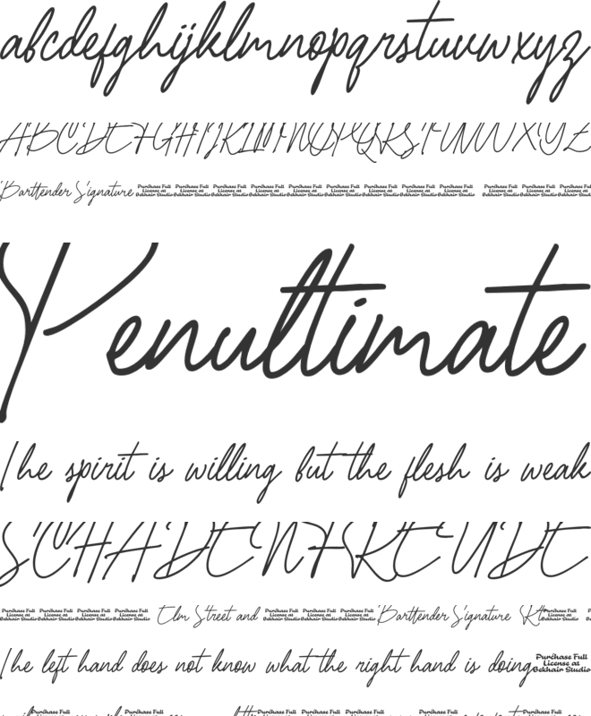 Barttender Signature Font font preview