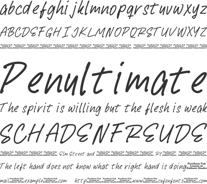 Kamila Roseta font preview