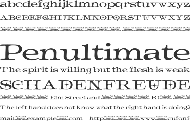Provoch font preview