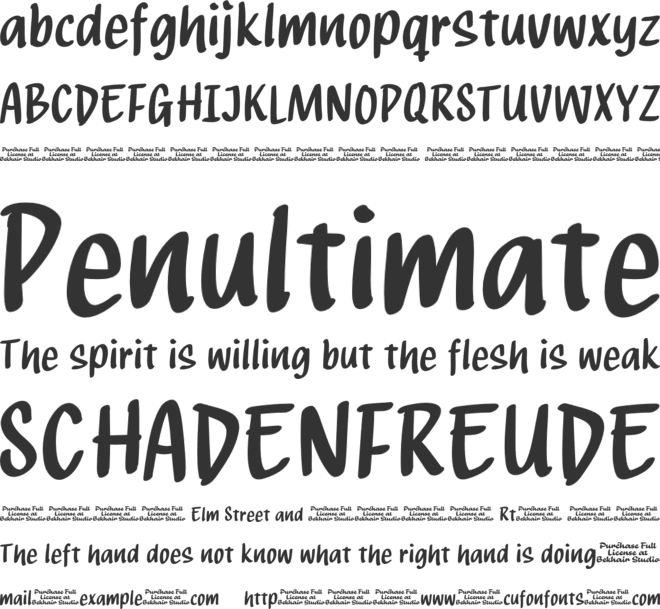 Silvy Runie font preview