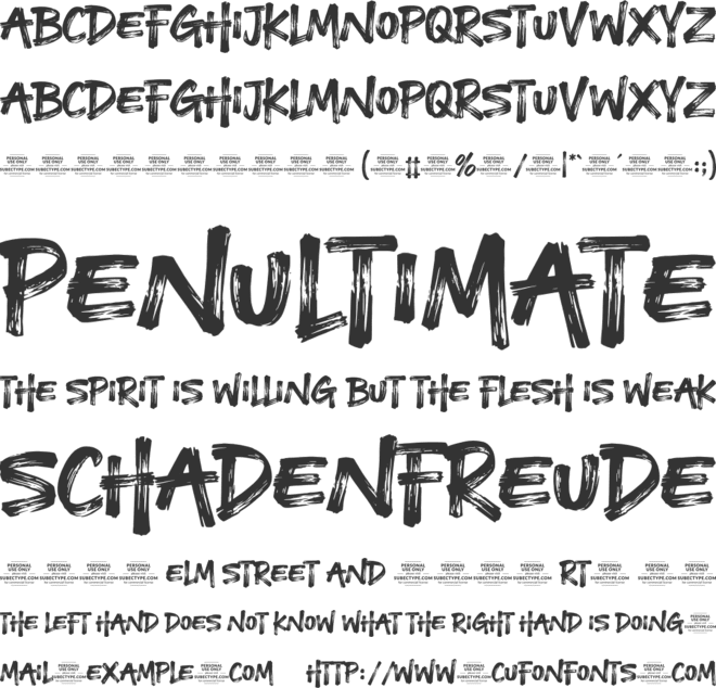 Savage Brusher font preview