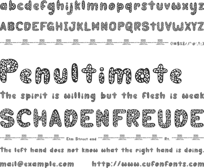 Cheetah Mania PERSONAL USE ONLY font preview