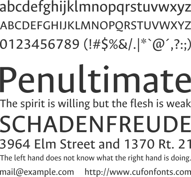 Ancizar Sans font preview