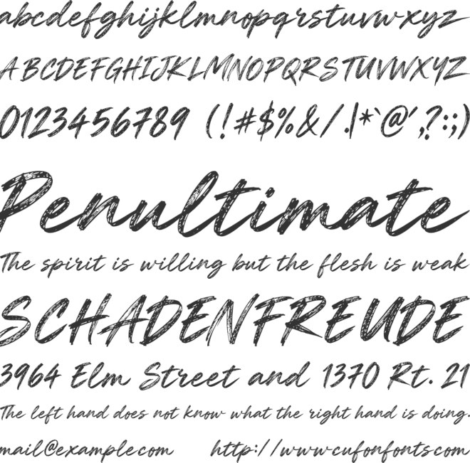 Shalyze font preview