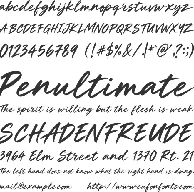 Shalyze Cln font preview