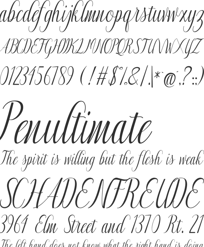 Authentic font preview