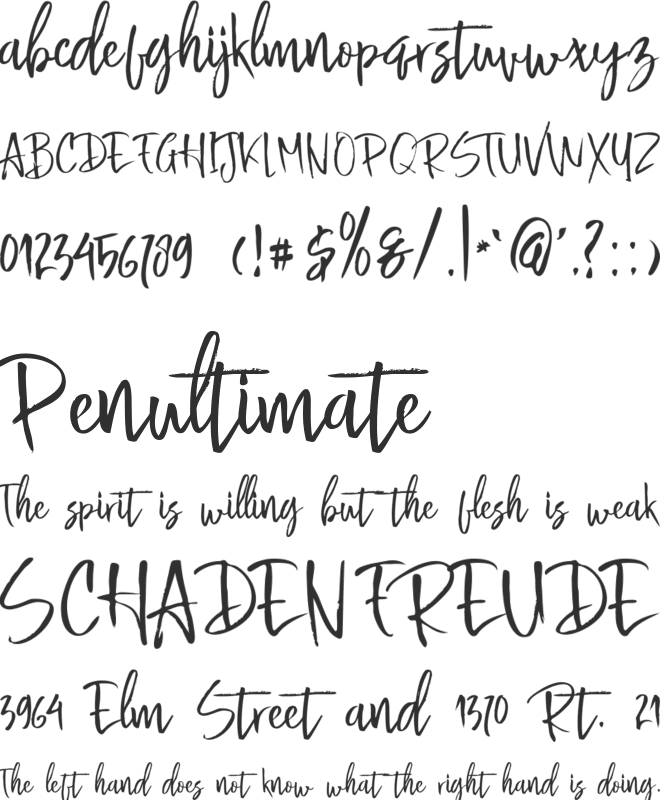 Buttle font preview