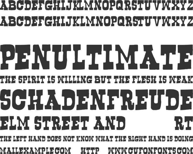 Bogusflow font preview