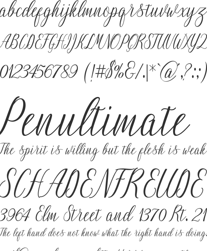 NightingaleScript font preview