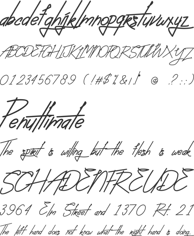 Absolute Neon Script font preview