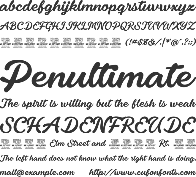 Fondy Script PERSONAL USE ONLY font preview