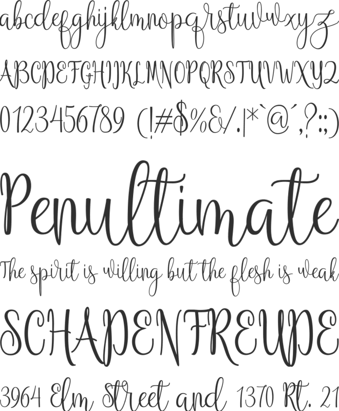 Anteater font preview