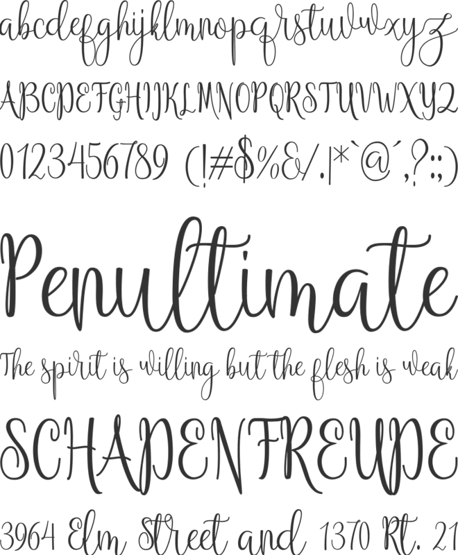 Anteater font preview