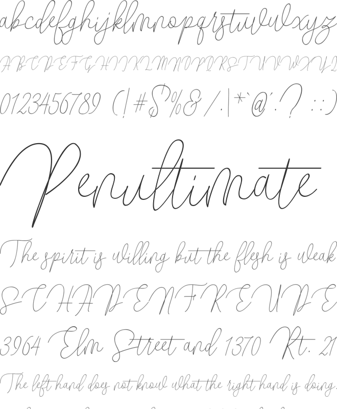 ButtyScript font preview