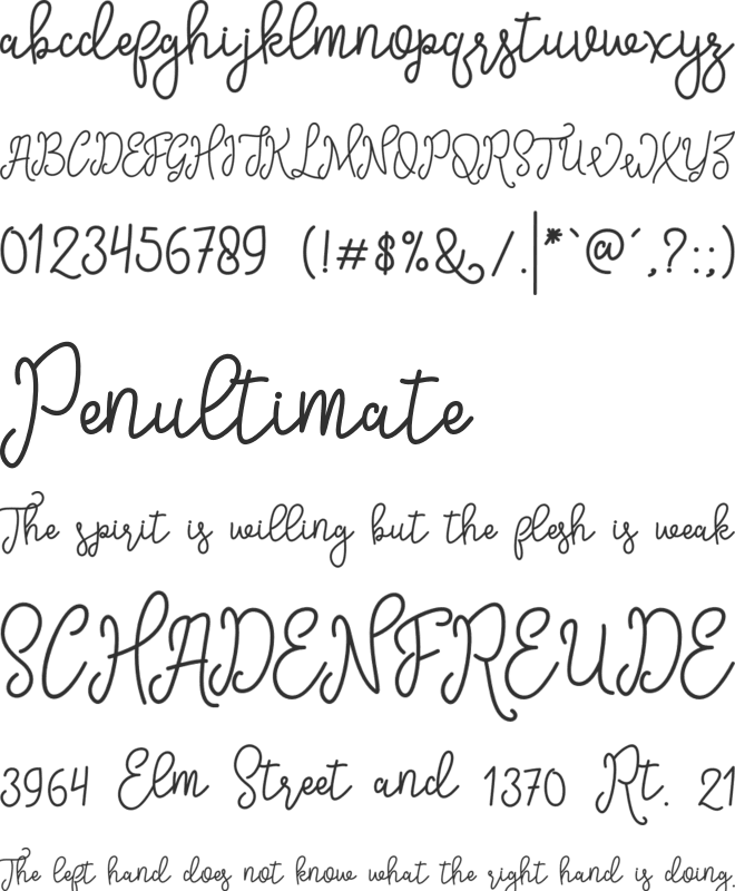 Sinyak Script font preview